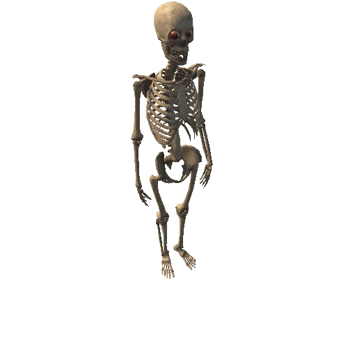 Skeleton - V2
